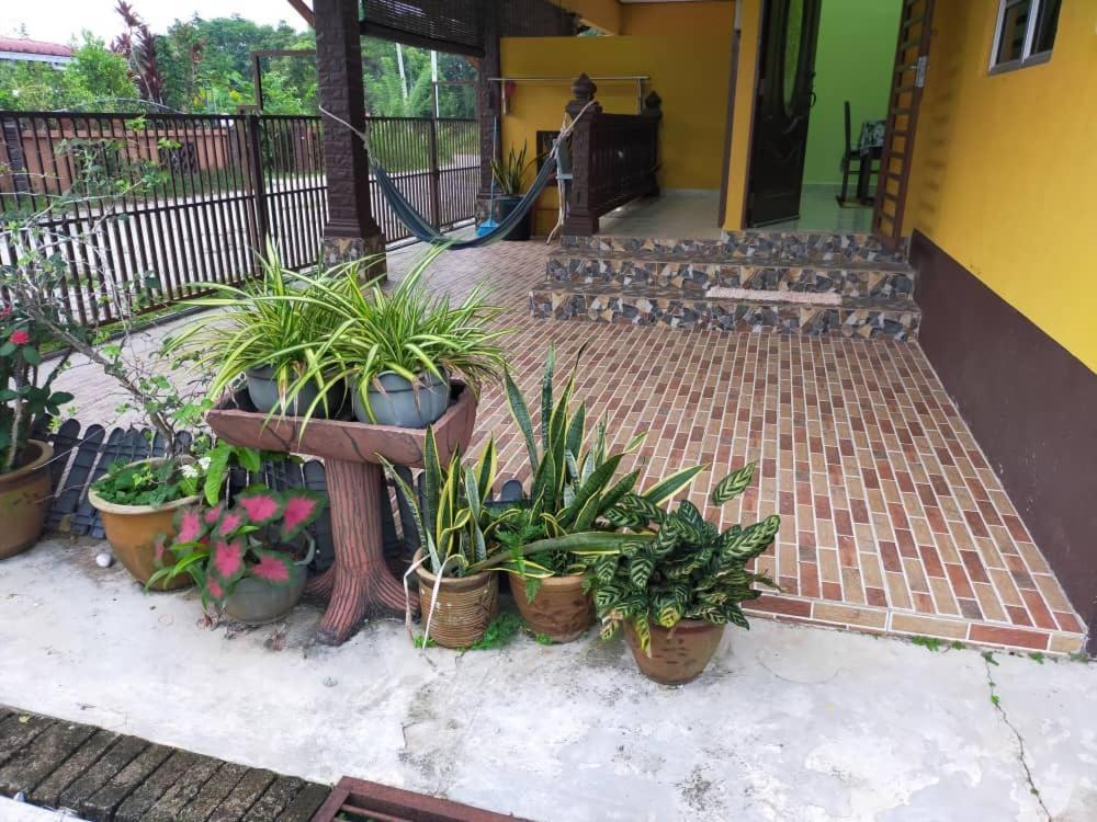 Rumah Tumpangan Di Kuala Terengganu, Terengganu Homestay D 外观 照片